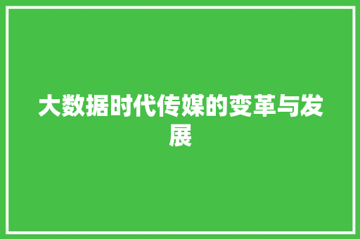 大数据时代传媒的变革与发展  第1张