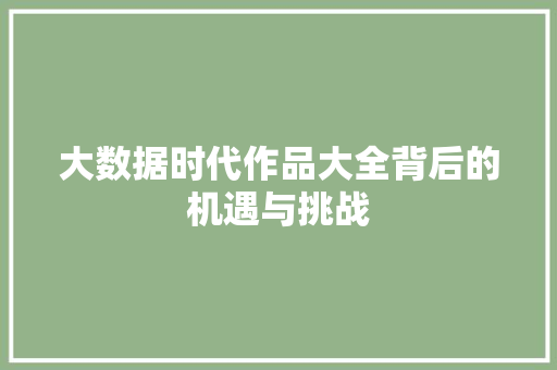 大数据时代作品大全背后的机遇与挑战
