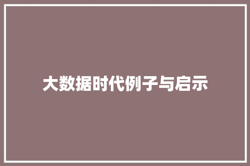 大数据时代例子与启示  第1张