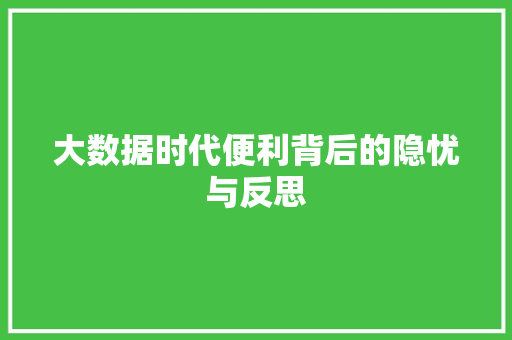 大数据时代便利背后的隐忧与反思  第1张