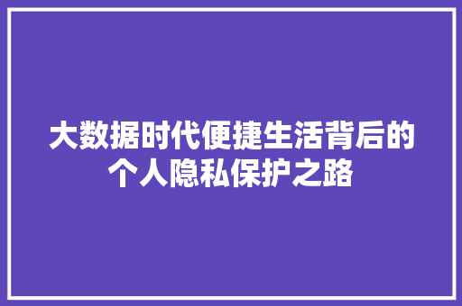 大数据时代便捷生活背后的个人隐私保护之路  第1张