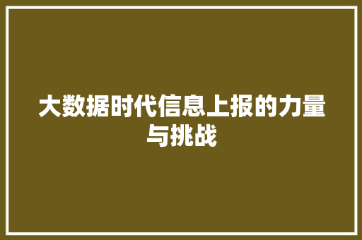 大数据时代信息上报的力量与挑战  第1张