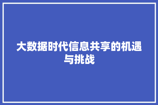 大数据时代信息共享的机遇与挑战  第1张