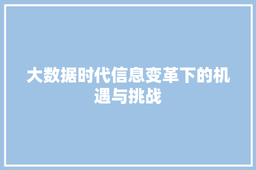大数据时代信息变革下的机遇与挑战  第1张