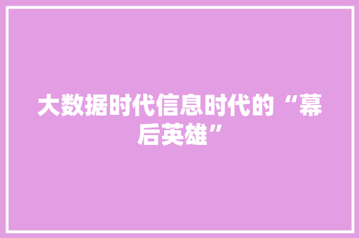 大数据时代信息时代的“幕后英雄”  第1张