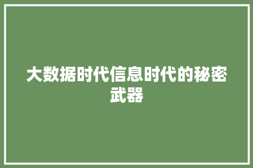 大数据时代信息时代的秘密武器