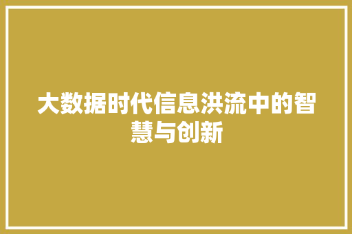 大数据时代信息洪流中的智慧与创新