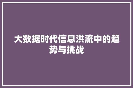 大数据时代信息洪流中的趋势与挑战  第1张