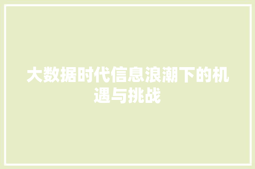 大数据时代信息浪潮下的机遇与挑战  第1张