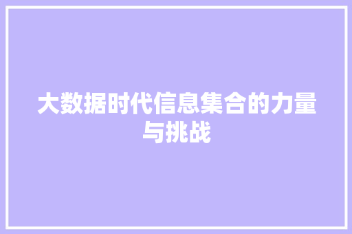 大数据时代信息集合的力量与挑战