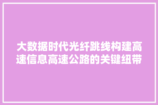 大数据时代光纤跳线构建高速信息高速公路的关键纽带