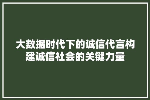 大数据时代下的诚信代言构建诚信社会的关键力量  第1张
