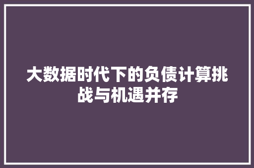 大数据时代下的负债计算挑战与机遇并存