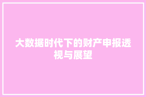 大数据时代下的财产申报透视与展望