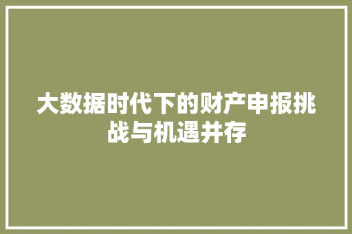 大数据时代下的财产申报挑战与机遇并存