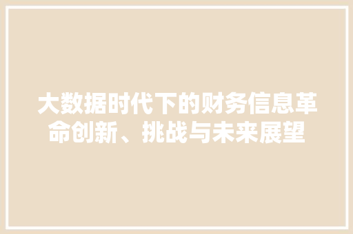 大数据时代下的财务信息革命创新、挑战与未来展望  第1张