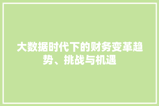 大数据时代下的财务变革趋势、挑战与机遇  第1张