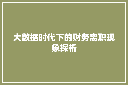 大数据时代下的财务离职现象探析