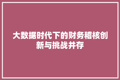 大数据时代下的财务稽核创新与挑战并存