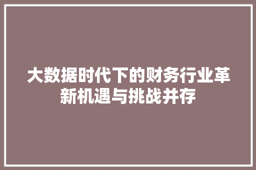 大数据时代下的财务行业革新机遇与挑战并存  第1张