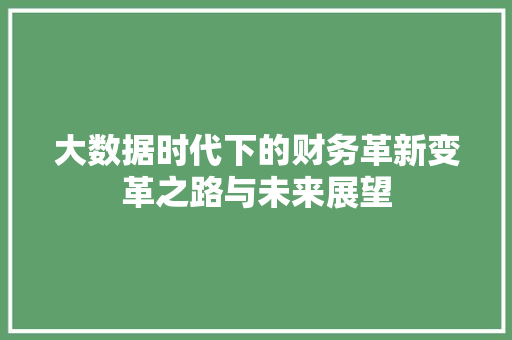 大数据时代下的财务革新变革之路与未来展望  第1张
