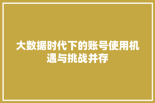 大数据时代下的账号使用机遇与挑战并存