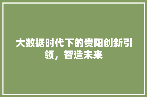 大数据时代下的贵阳创新引领，智造未来  第1张