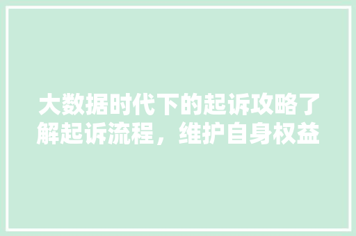 大数据时代下的起诉攻略了解起诉流程，维护自身权益  第1张