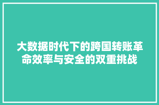 大数据时代下的跨国转账革命效率与安全的双重挑战  第1张