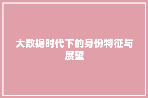 大数据时代下的身份特征与展望