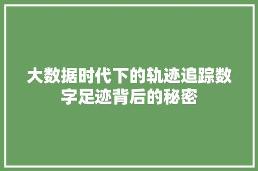 大数据时代下的轨迹追踪数字足迹背后的秘密  第1张