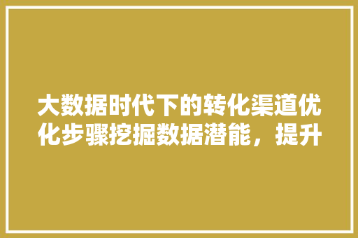 大数据时代下的转化渠道优化步骤挖掘数据潜能，提升转化效率