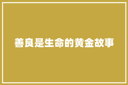 大数据时代下的转账革命时间经济的重塑与挑战  第1张