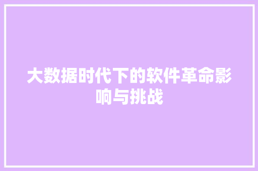 大数据时代下的软件革命影响与挑战  第1张