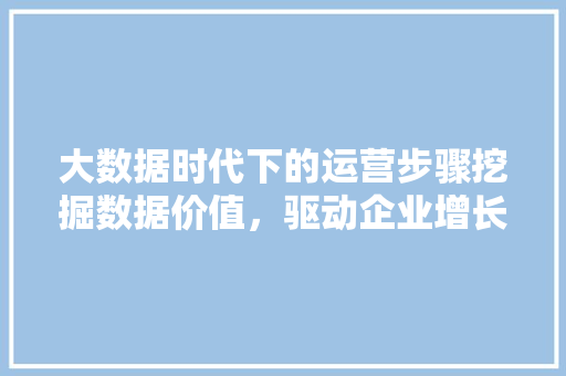 大数据时代下的运营步骤挖掘数据价值，驱动企业增长  第1张