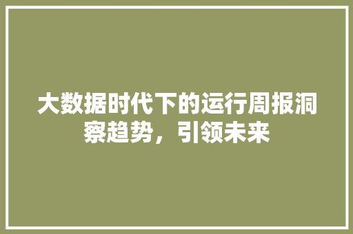 大数据时代下的运行周报洞察趋势，引领未来  第1张