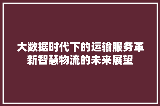 大数据时代下的运输服务革新智慧物流的未来展望  第1张