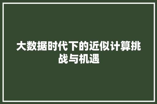 大数据时代下的近似计算挑战与机遇  第1张