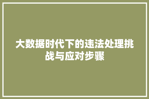 大数据时代下的违法处理挑战与应对步骤