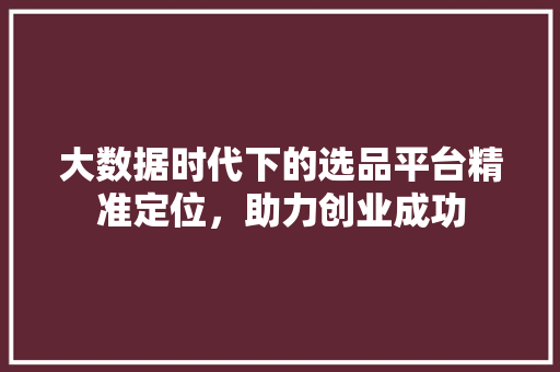 大数据时代下的选品平台精准定位，助力创业成功  第1张