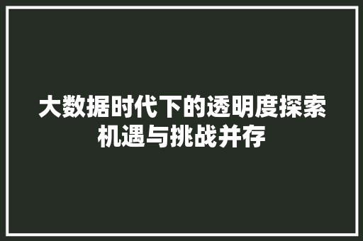 大数据时代下的透明度探索机遇与挑战并存  第1张