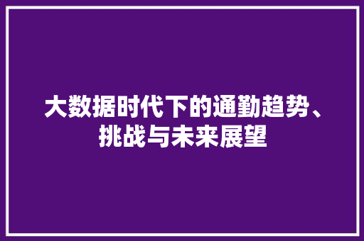 大数据时代下的通勤趋势、挑战与未来展望