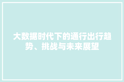 大数据时代下的通行出行趋势、挑战与未来展望  第1张