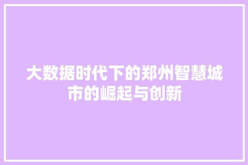 大数据时代下的郑州智慧城市的崛起与创新  第1张