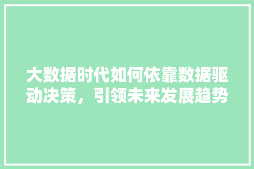 大数据时代如何依靠数据驱动决策，引领未来发展趋势