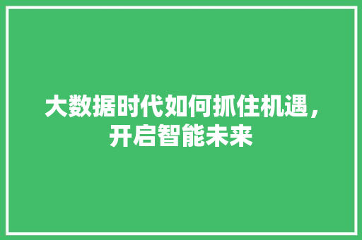 大数据时代如何抓住机遇，开启智能未来
