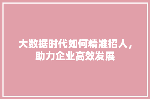 大数据时代如何精准招人，助力企业高效发展  第1张