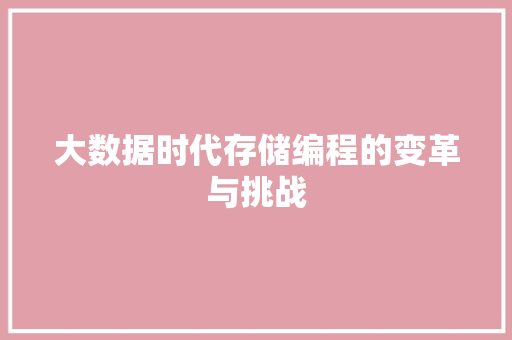 大数据时代存储编程的变革与挑战