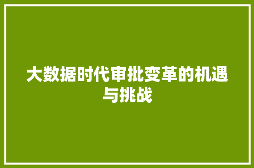 大数据时代审批变革的机遇与挑战  第1张
