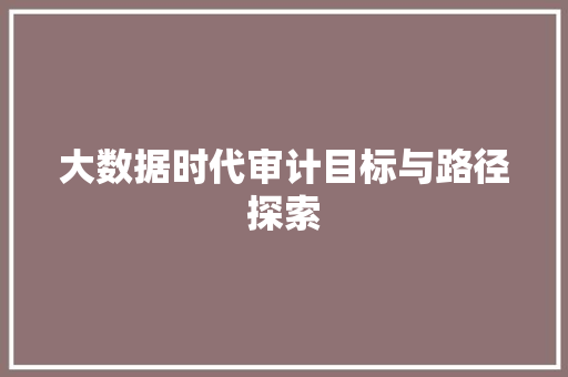 大数据时代审计目标与路径探索  第1张